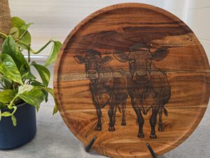 40cm Acacia Jersey Cow